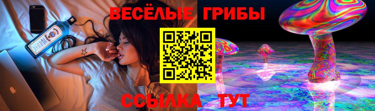 Минусинск  Галлюциногенные грибы MAGIC MUSHROOMS  Вход с VPN 