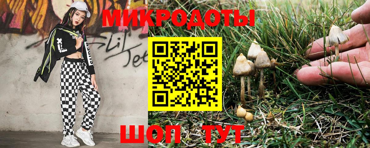 Галлюциногенные грибы мицелий Минусинск